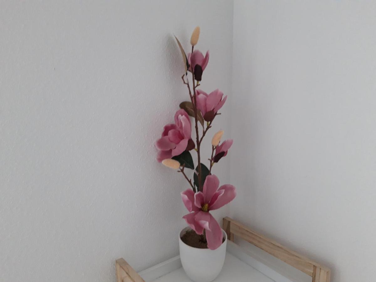 Mediterraneo Lux Lejlighed Aguadulce  Eksteriør billede
